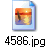 4586.jpg